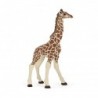 Figurine le girafon