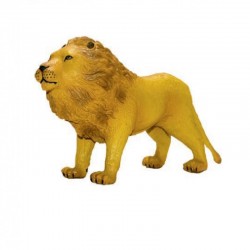 Lion souple