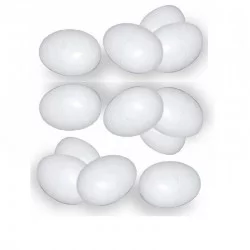 Lot de 12 œufs Blanc